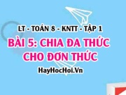 Phép chia đa thức cho đơn thức, đơn thức cho đơn thức? Ví...